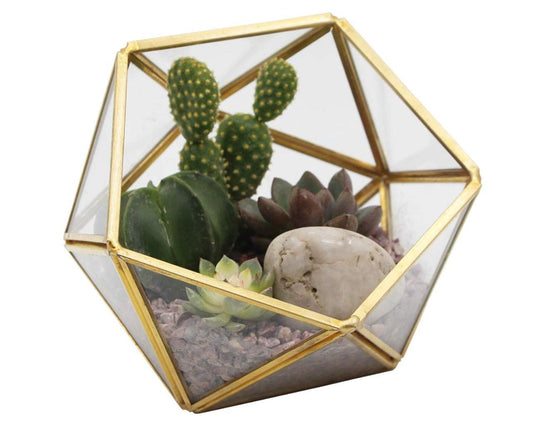 Half Octa Ball Geometric Terrarium Succulent Terrarium-ArtyCraftz.com