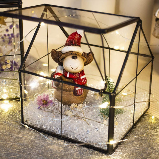 House-Shaped Glass Terrarium Planter-ArtyCraftz.com
