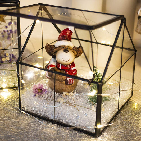 House-Shaped Glass Terrarium Planter-ArtyCraftz.com