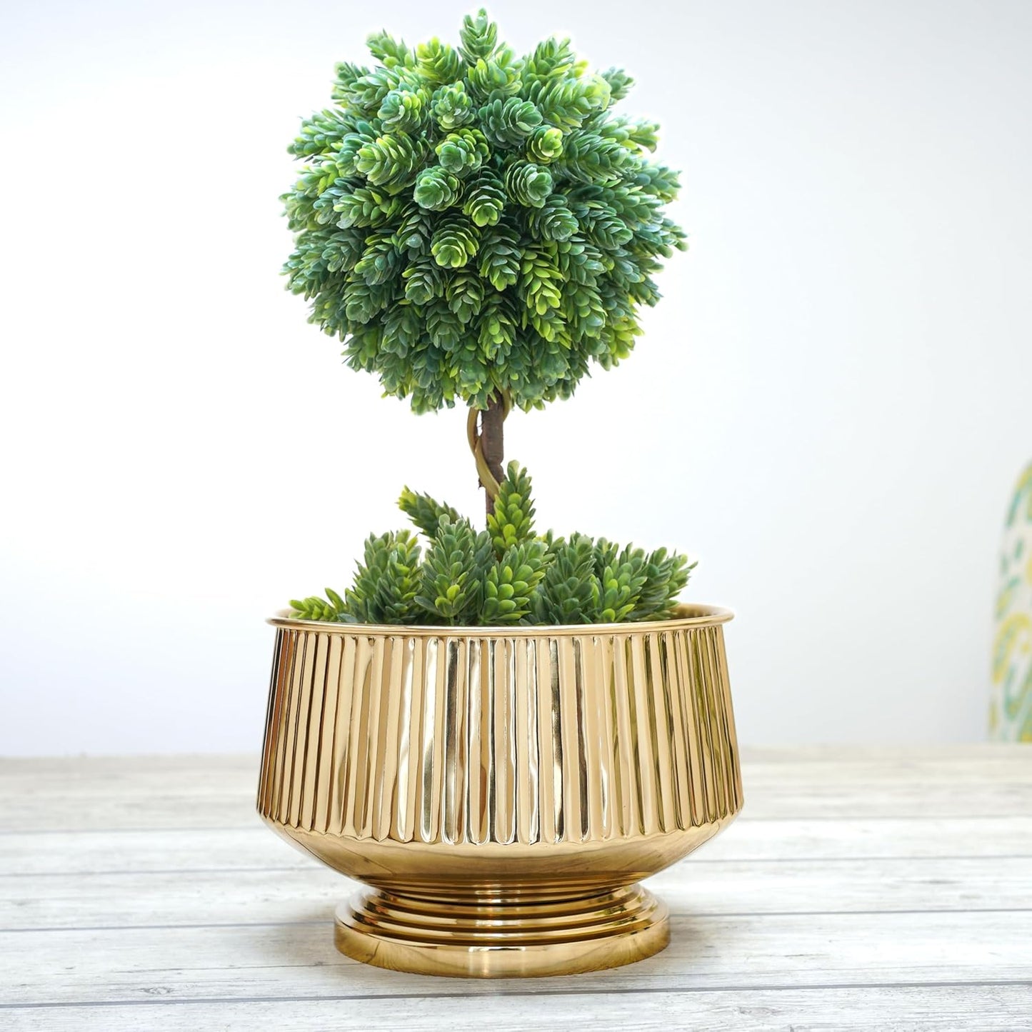 Gold decorative pot with a green plant