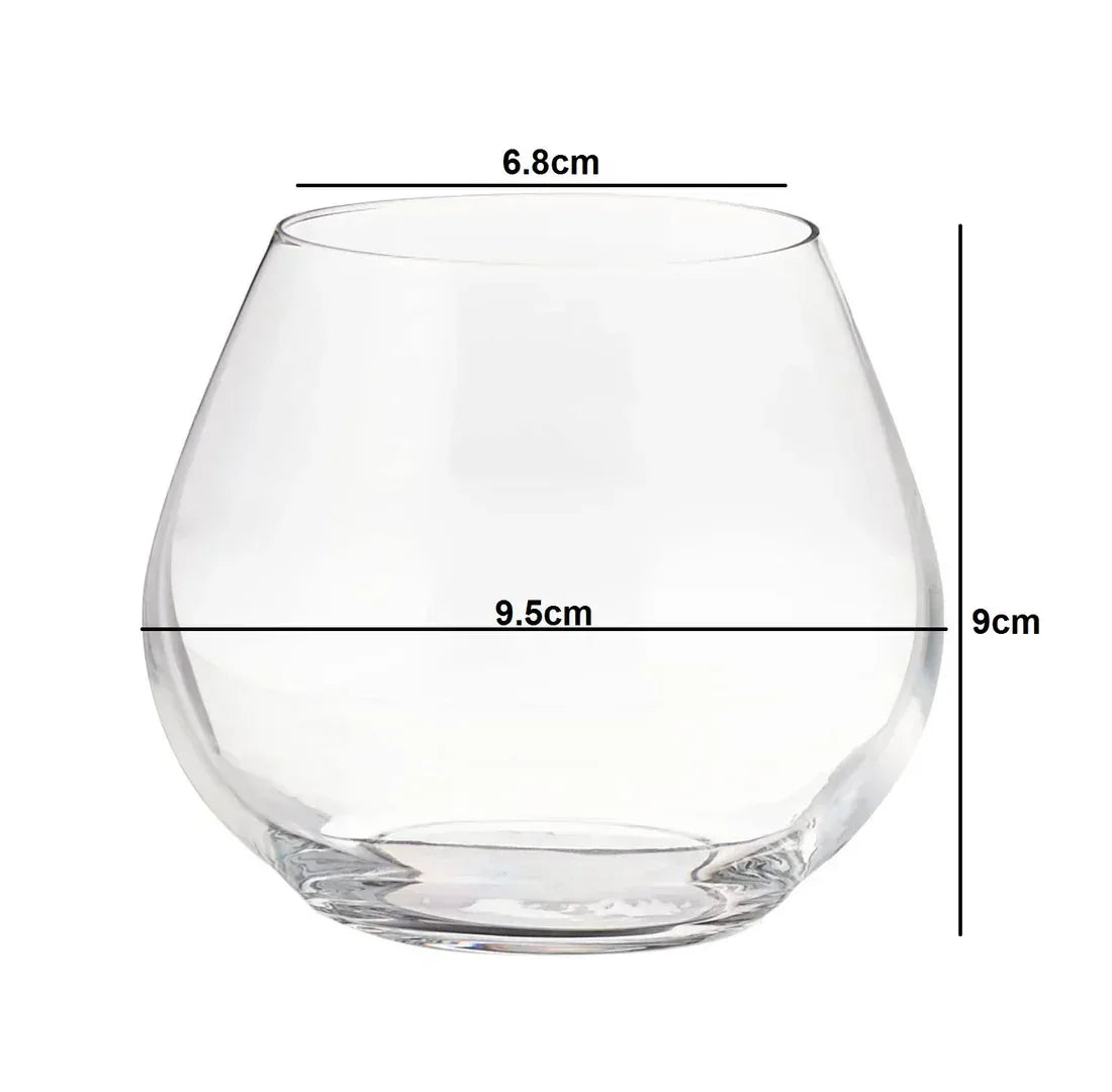 Amoroso Luxe Stemless Wine Glass