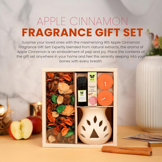 Apple cinnamon aroma vaporizer gift set with potpourri, fragrance oil and tealights-artycraftz.com
