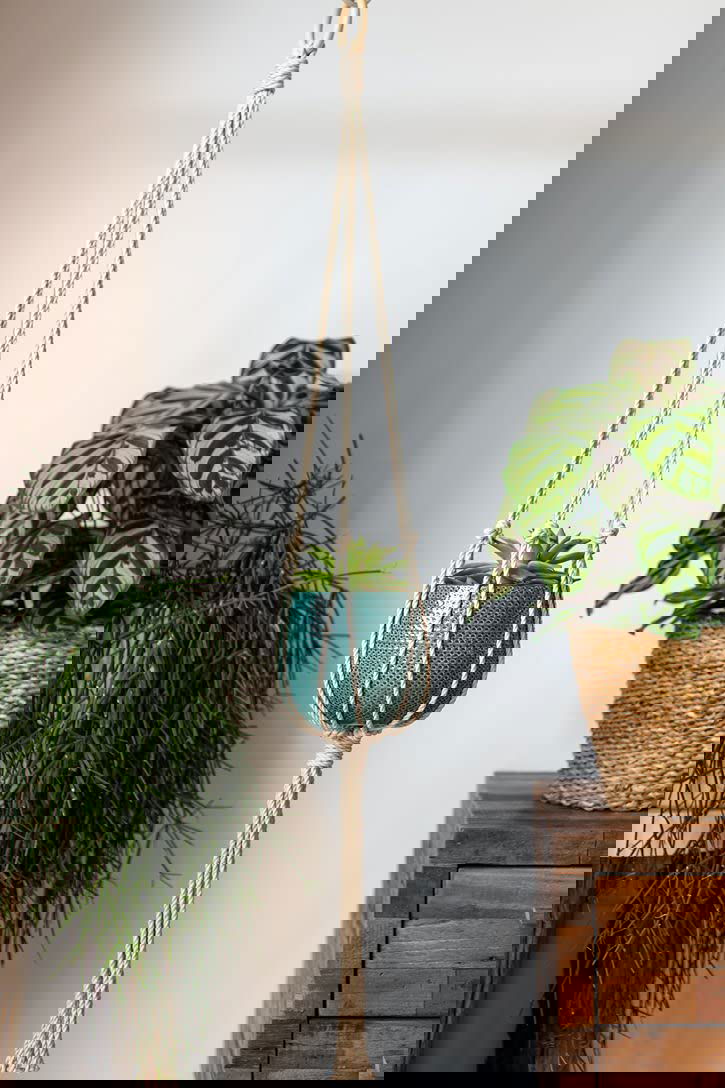 Macrame Plant Hanger for Home/Garden/Balcony (Off-White Crocus Hanger) - ArtyCraftz.com