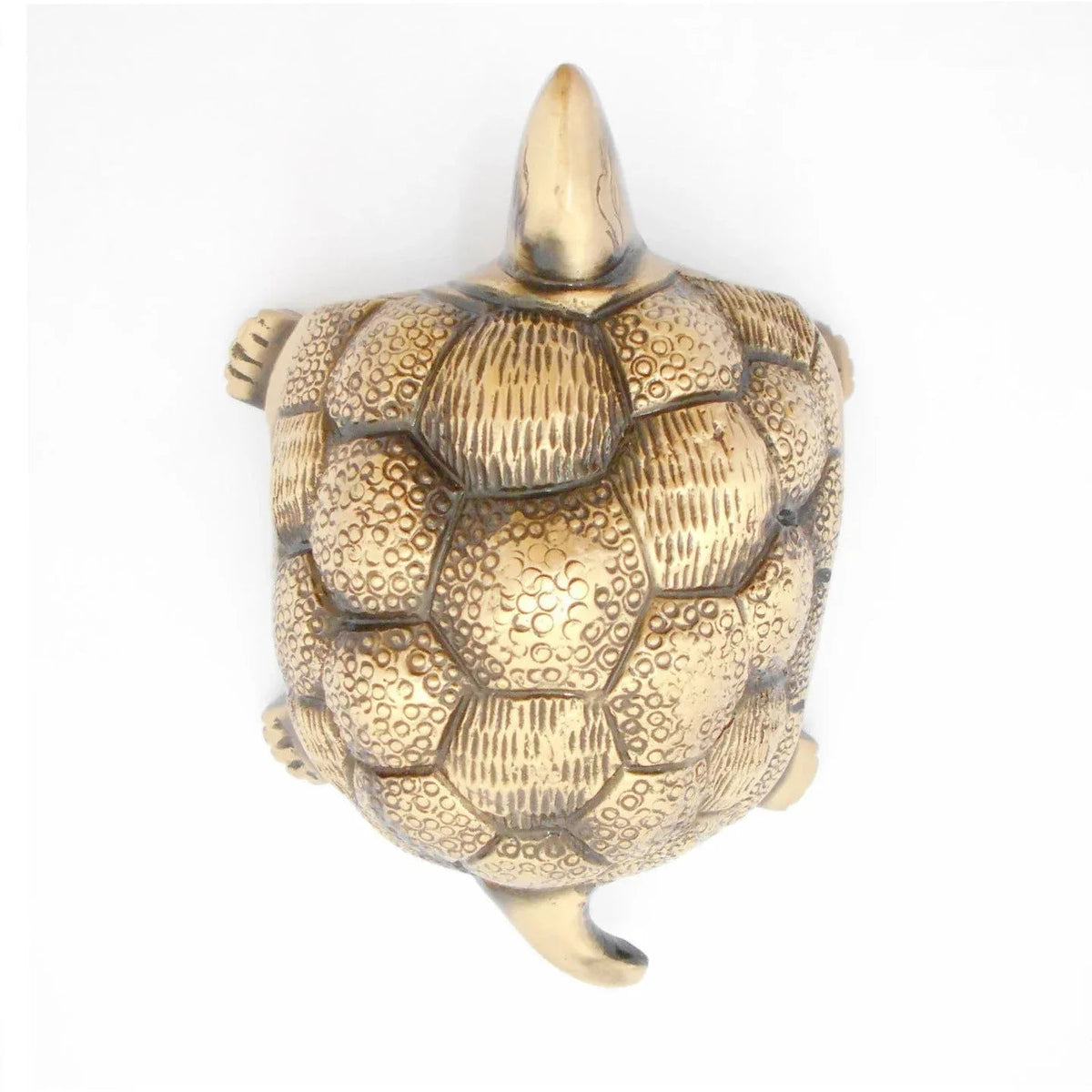 Brass Made Fengsui Tortoise Statue - ArtyCraftz.com