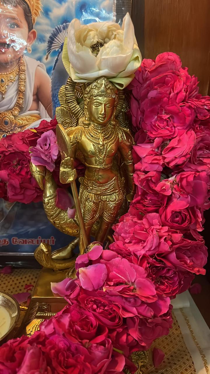 Brass Palani Murugan with Peacock Statue in Decoration