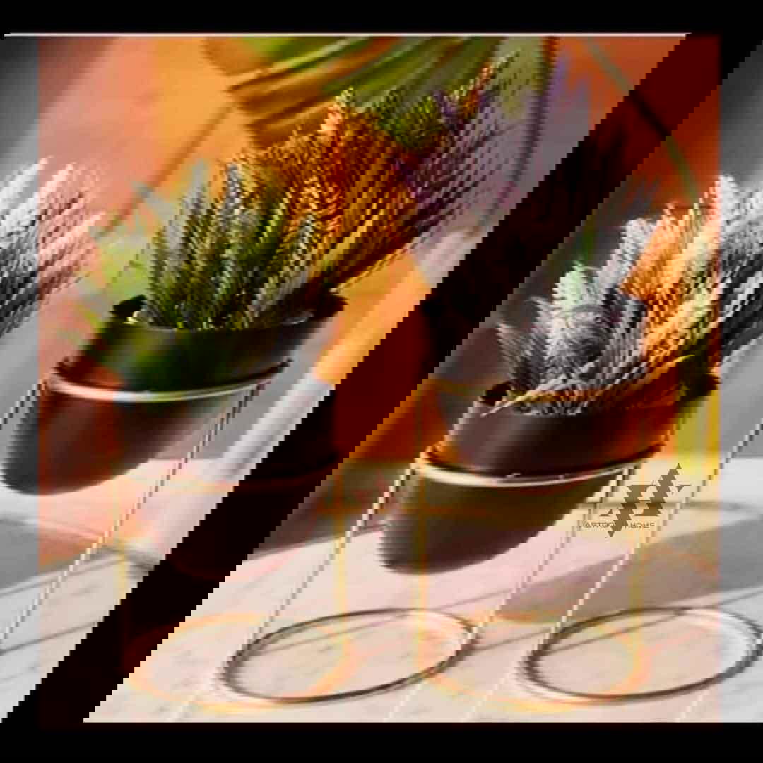 CraftVatika Metal Planter Pots Flower vase with Stand for Indoor Outdoor Plants, Balcony, Tabletop, Home, Office Decor, Pack of 2 - ArtyCraftz.com