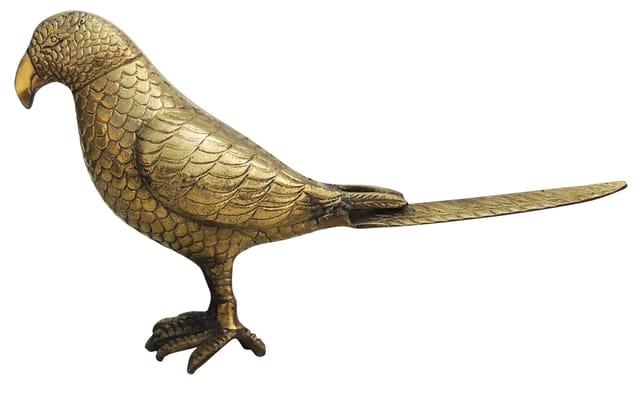 Handcrafted Brass Parrot Showpiece for Home Decor and Gifting 14*4*7.5 Inches - ArtyCraftz.com