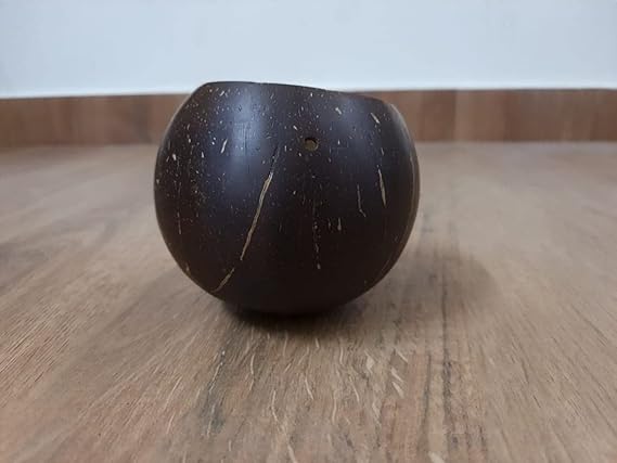 Handcrafted Engraved Hanging Coconut Shell Planter with Cotton Thread for Terrrace4