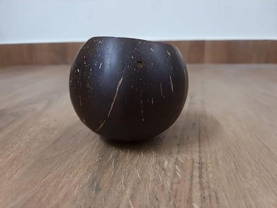 Handcrafted Engraved Hanging Coconut Shell Planter with Cotton Thread for Terrrace4