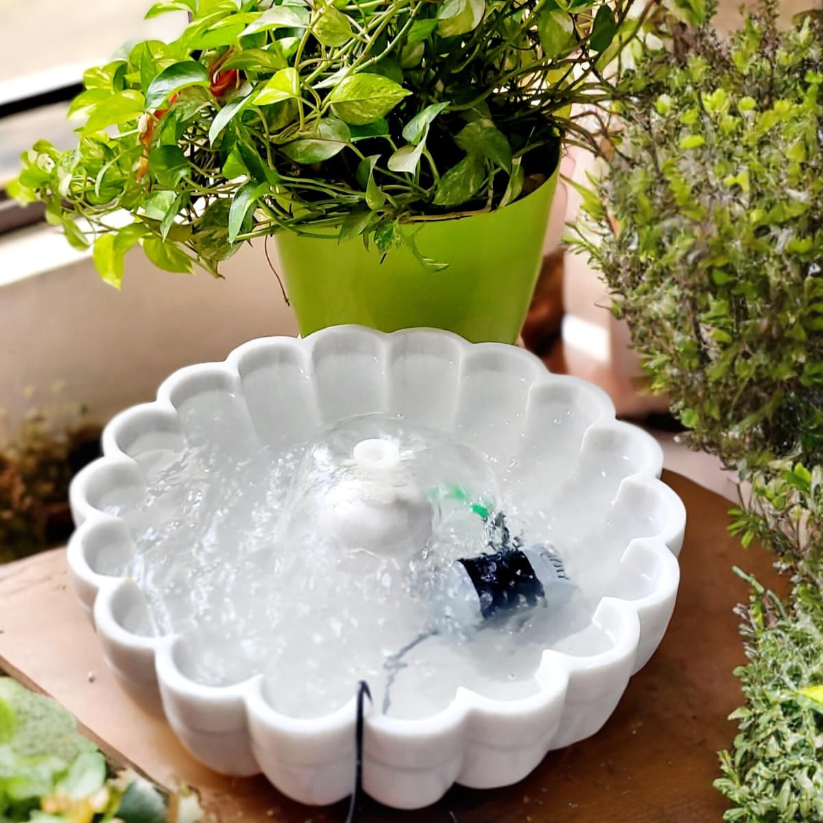 White ceramic bowl with water feature surrounded by potted plants