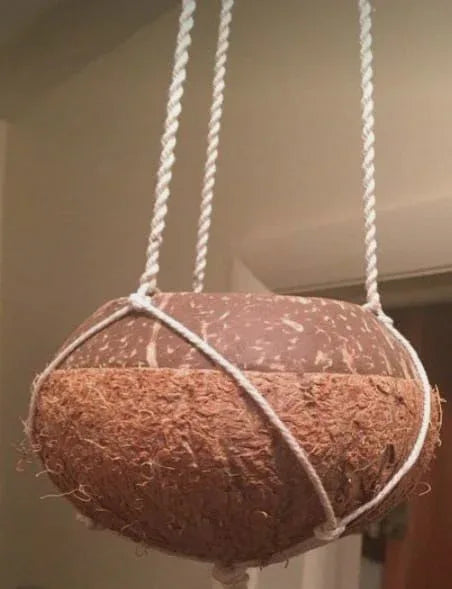 Handcrafted Rope hanging Coconut Shell Planter - ArtyCraftz.com