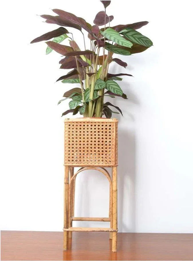 Handmade Cane Planter with Stand -Medium - ArtyCraftz.com