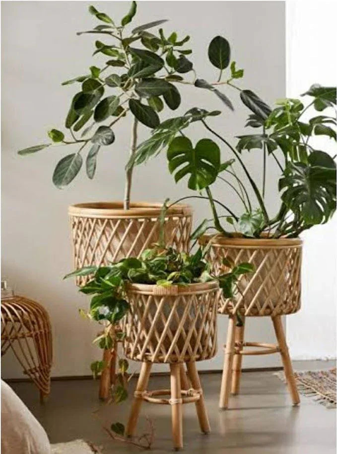 Handmade Cane Planter with Stand Set of 3 Planters - ArtyCraftz.com