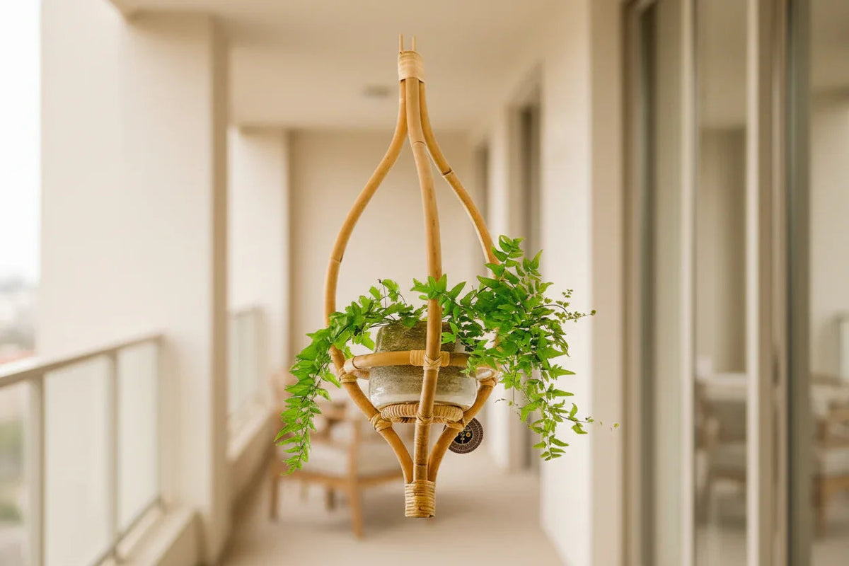 Handmade Decorative Hanging Cane planter - ArtyCraftz.com