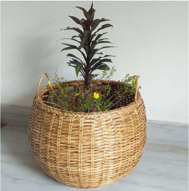 Handmade Round Cane Planter With Handle - ArtyCraftz.com