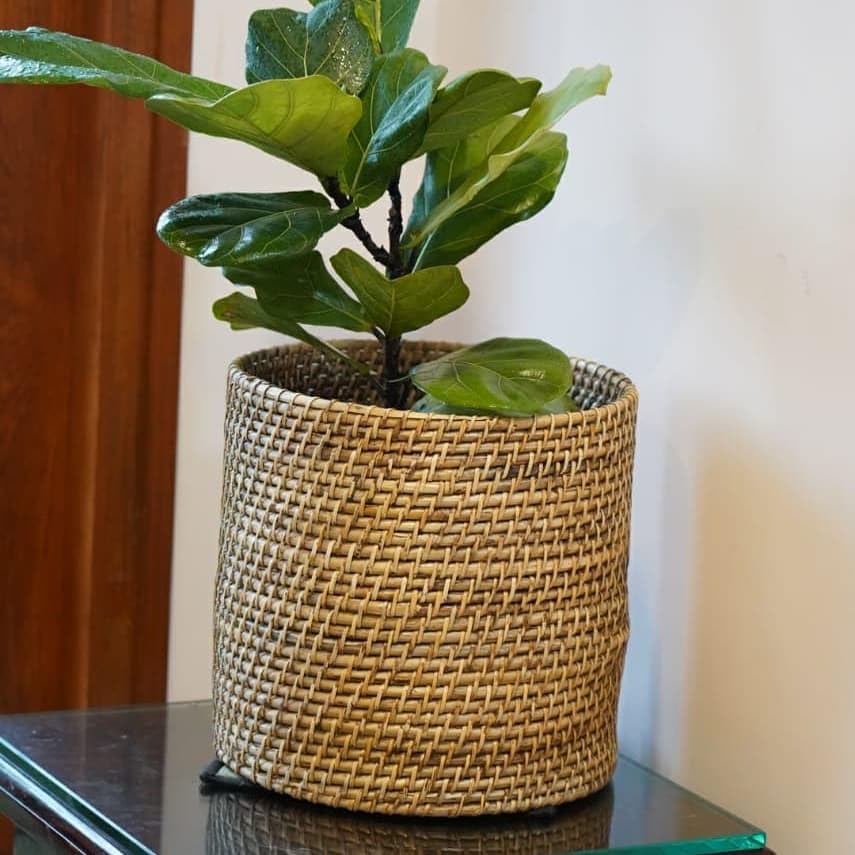 Handwoven Cane Planter Round-ArtyCraftz.com