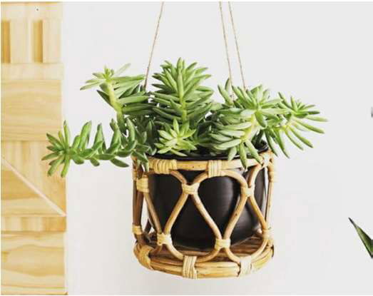 Handwoven Natural Cane Plant Hanger for Indoor and Outdoor Decor-ArtyCraftz.com