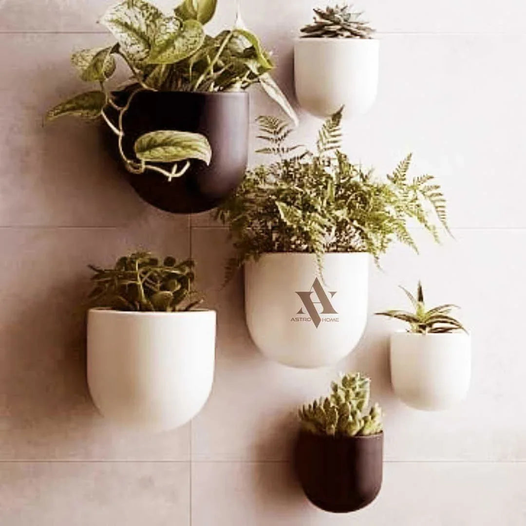 IDEAL STORE Planter ECO Buddy H (6 INCH, White) - ArtyCraftz.com