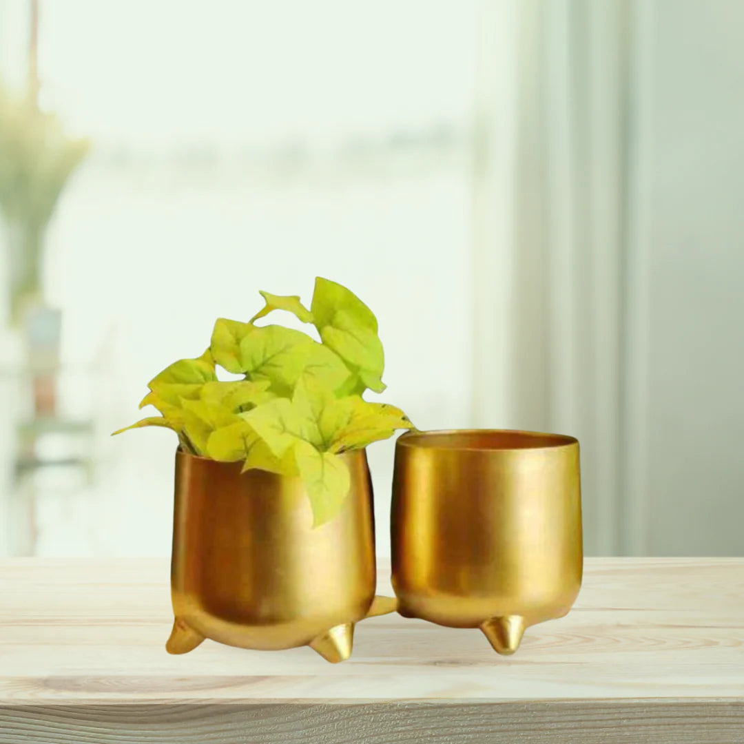 Iron Gold Finish Pot set of 2 For Home Decor and Gifting - ArtyCraftz.com