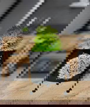 Iron Printed Pot with Golden Stand for Indoor and Outdoor Decor - ArtyCraftz.com