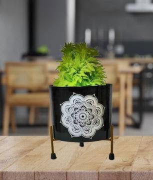 Iron Printed Pot with Golden Stand for Indoor and Outdoor Decor - ArtyCraftz.com