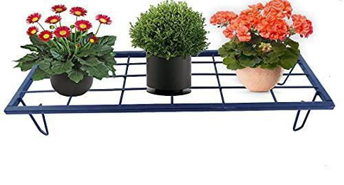 Iron Single tier Stand for Indoor and Outdoor - ArtyCraftz.com