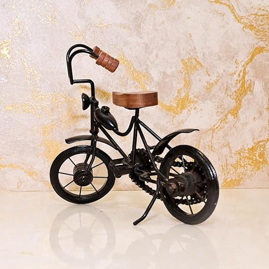 Metal Miniature Decorative Cycle Showpiece, Black - ArtyCraftz.com