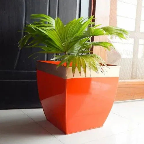 Orange Color Iron Square Tapered Planter for Garden - ArtyCraftz.com