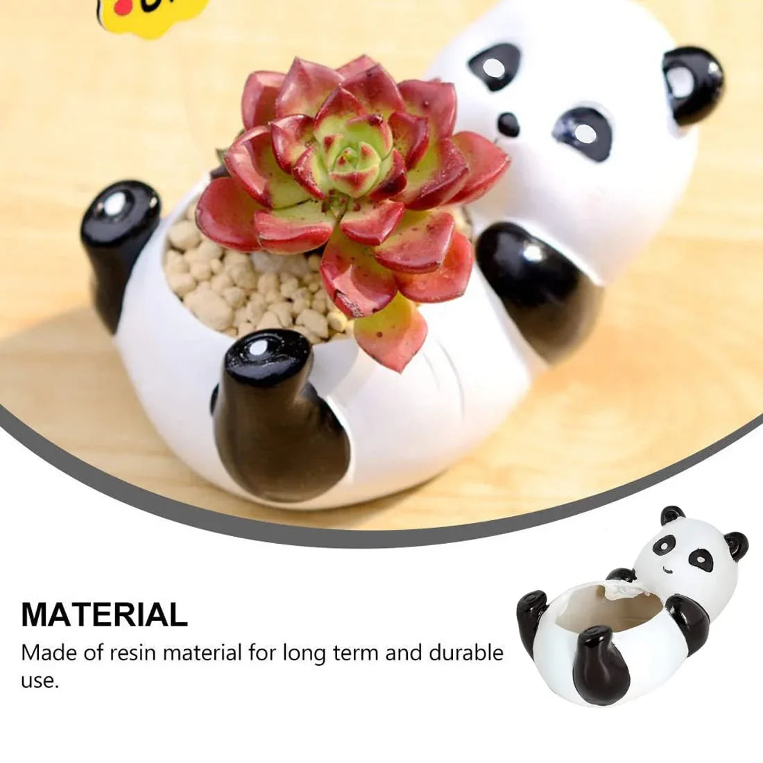 Panda Succulent Planter-ArtyCraftz.com