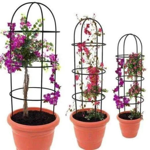 Plant Supporter without Pot - ArtyCraftz.com
