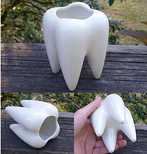 Polyresin Smiling Tooth Shaped Planter