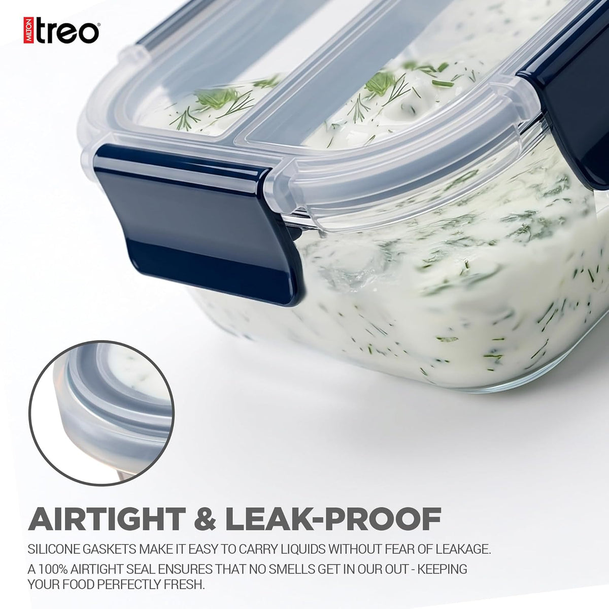 Treo All Fresh Divider Lunch Box-ArtyCraftz.com