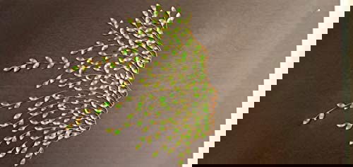 Metal Wall Decor/Wall Mounted Face Tree (Green, 32 inches X 30 inches X 1.2 inches) - ArtyCraftz.com