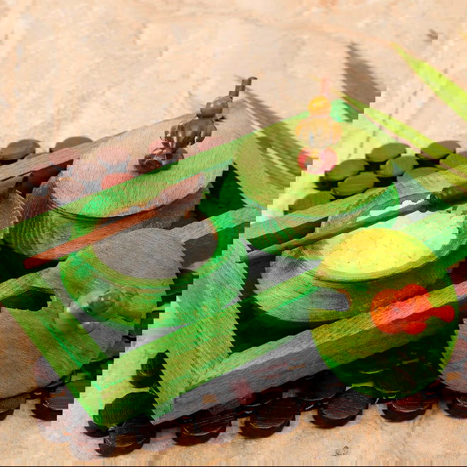 Wooden Parrot Jar Set With Tray & Spoon In Green - Decorative Boxes - ArtyCraftz.com