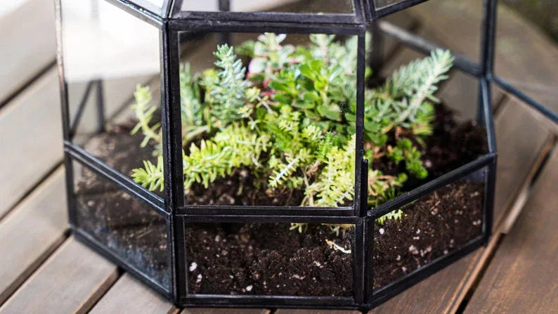 Igloo Glass Terrarium Planter with Metal Frame-ArtyCraftz.com