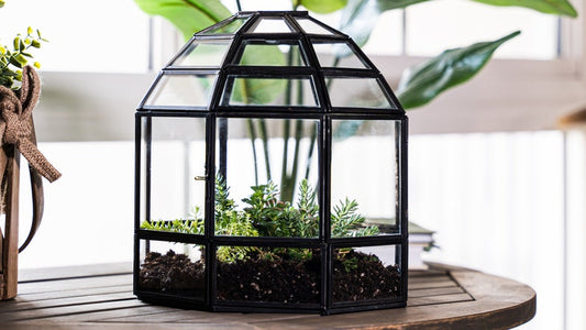 Igloo Glass Terrarium Planter with Metal Frame-ArtyCraftz.com