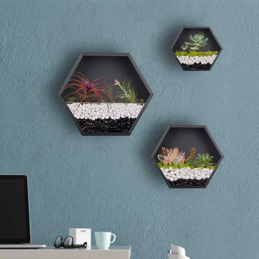 Iron Honeycomb Wall Planter - ArtyCraftz