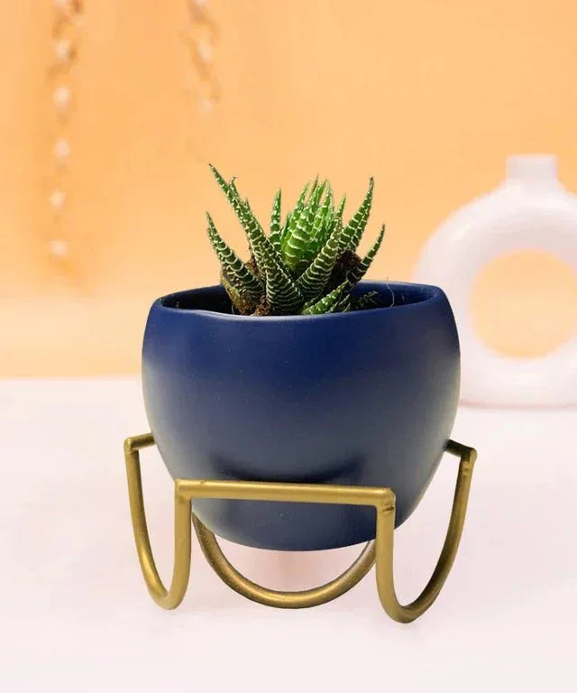 Metal Apple Miniature Planter with Stand - ArtyCraftz