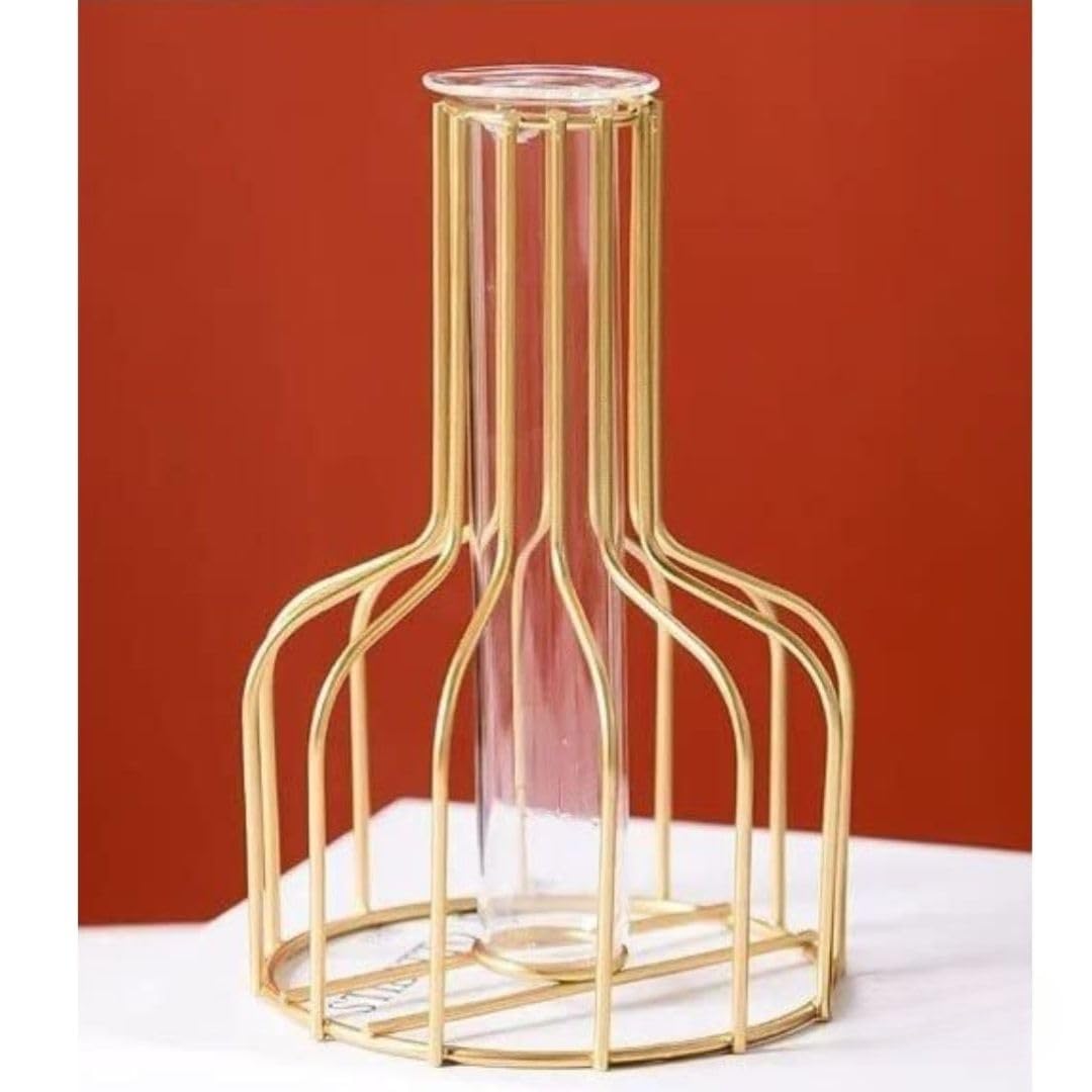 Propagation Station with Metal Frame, Test Tube Glass Items Vase for Flower Pot - ArtyCraftz