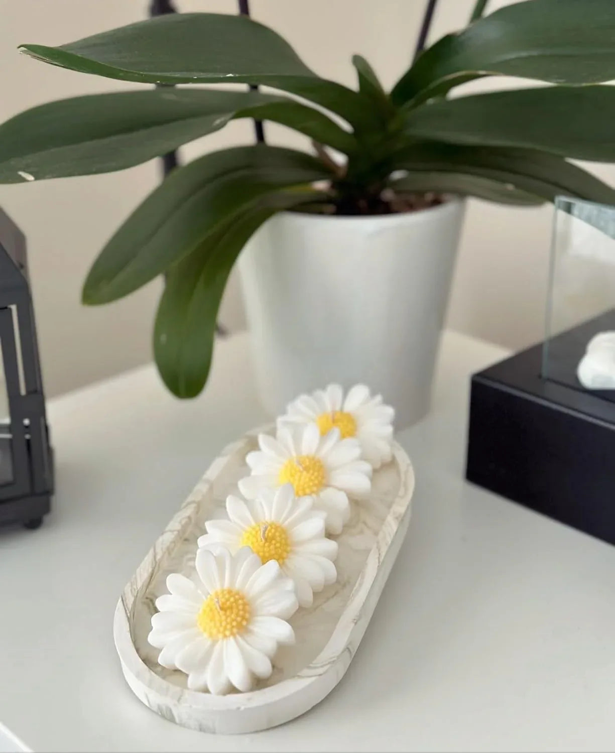 White Daisy Design Scented Candles - ArtyCraftz