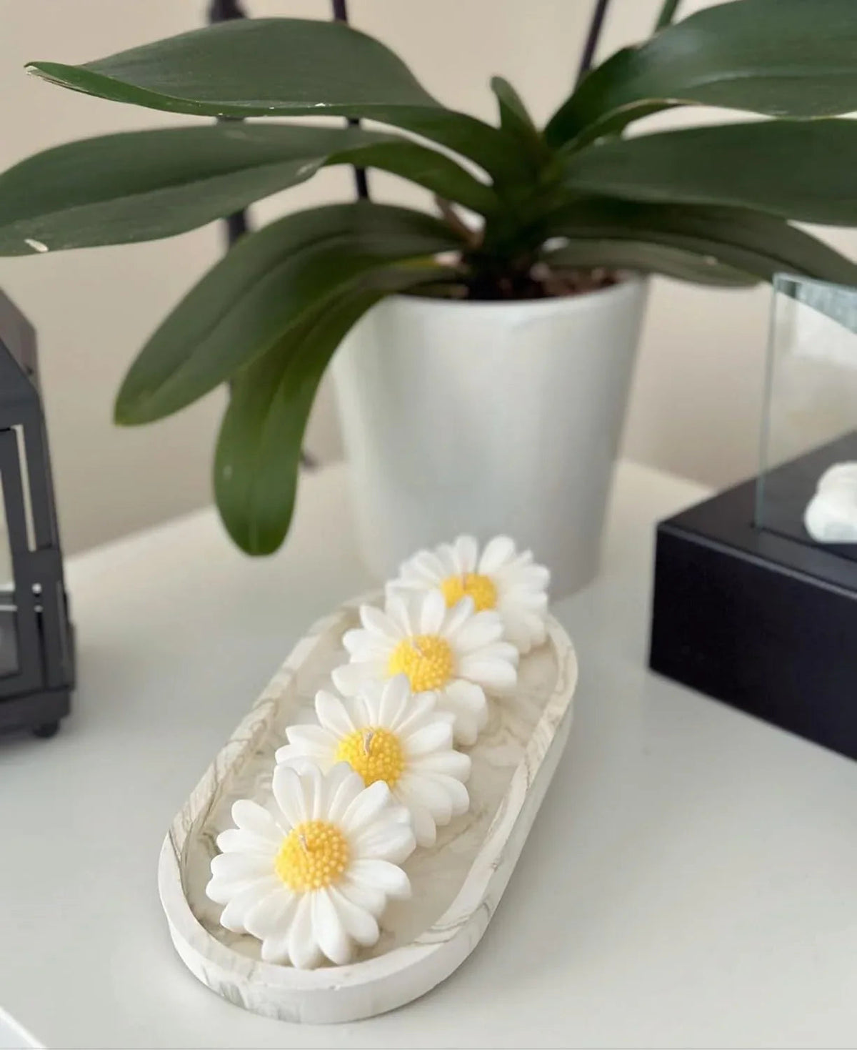 White Daisy Design Scented Candles - ArtyCraftz