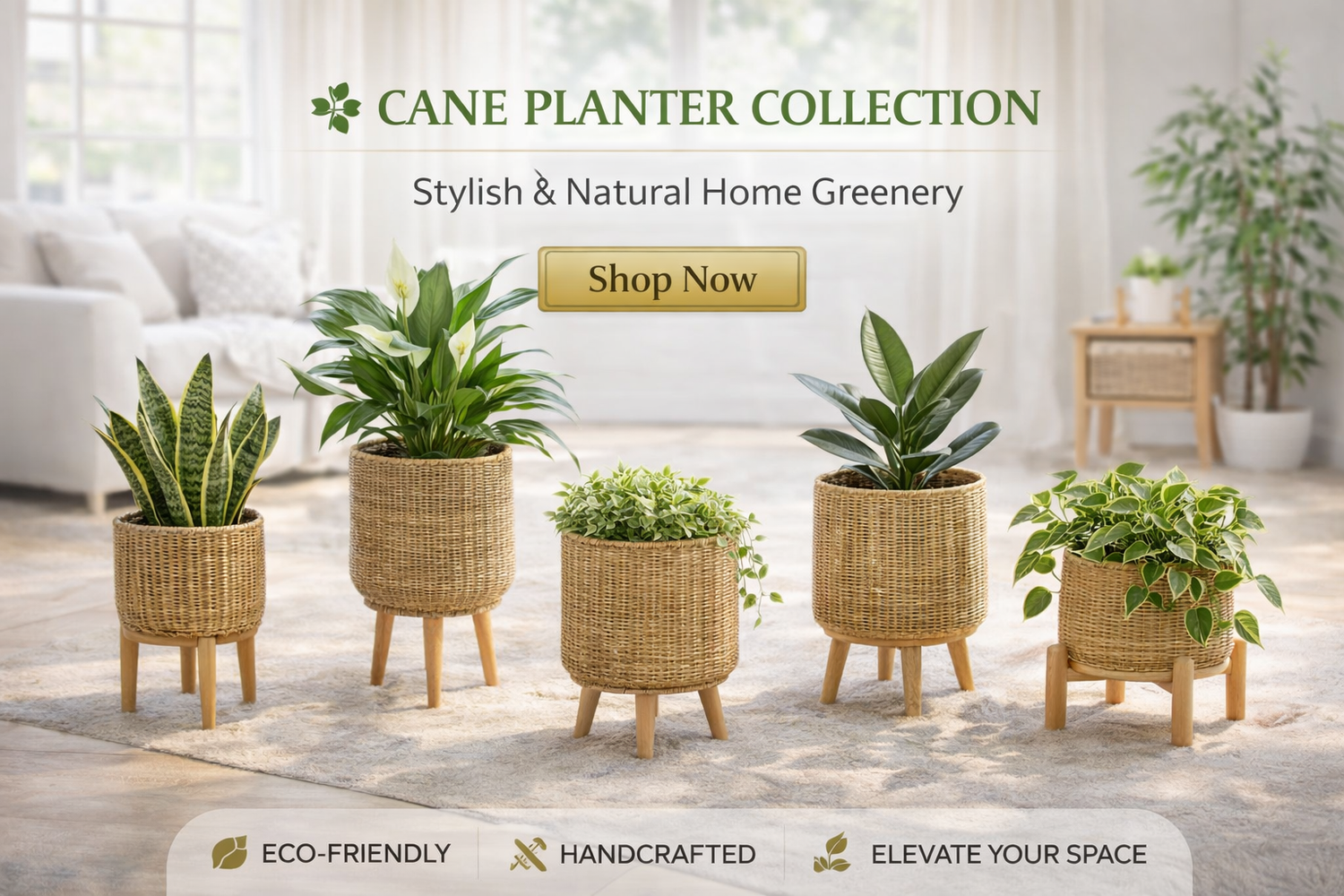 Cane planters in sunlit living space-ArtyCraftz.com