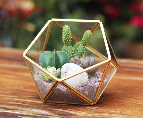 Half Octa Ball Geometric Terrarium Succulent Terrarium-ArtyCraftz.com
