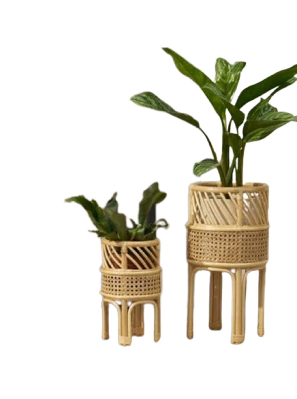 Handmade Cane Planter with Stand Set of 2