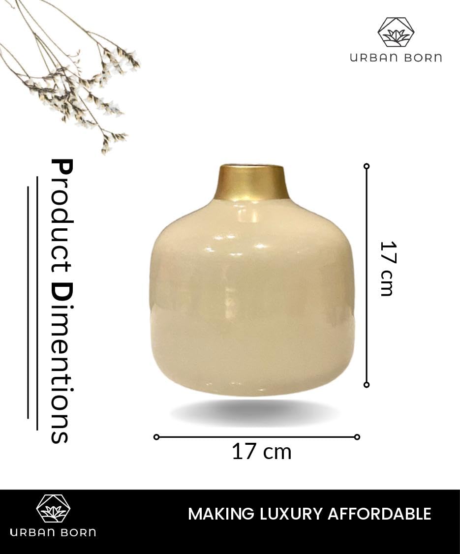 Cream Color with Golden Rim Metal Vase