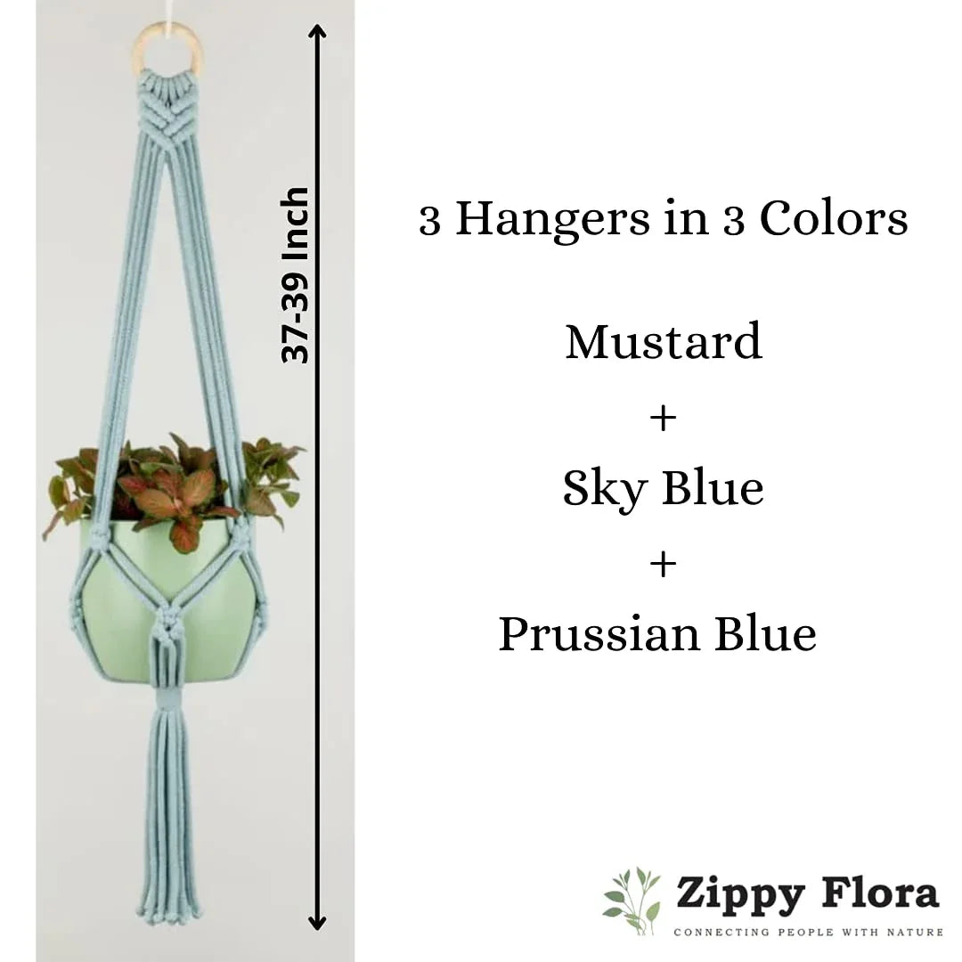 Macrame 36 Inch Plant Hanger-ArtyCraftz.com