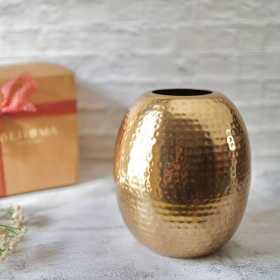 Metal Oval Shape Vase for Home Decor Decorative for Living Room Balcony