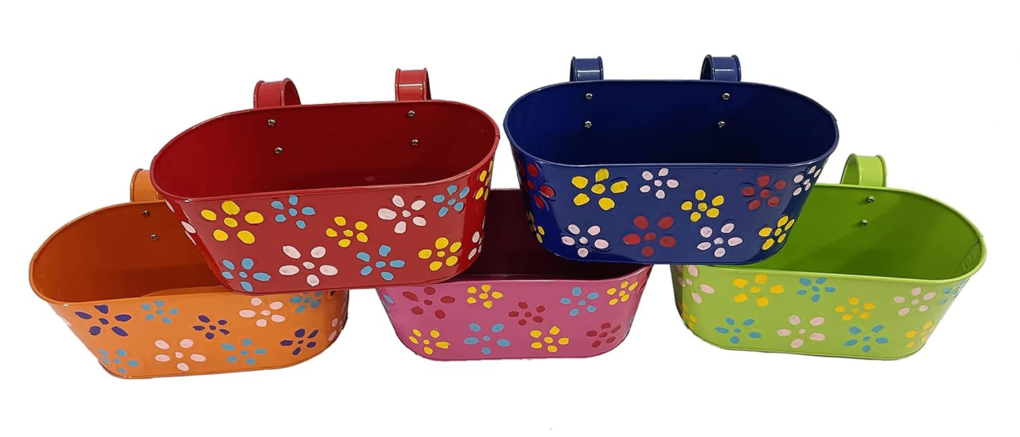 Painted Hanging Money Plant Holder