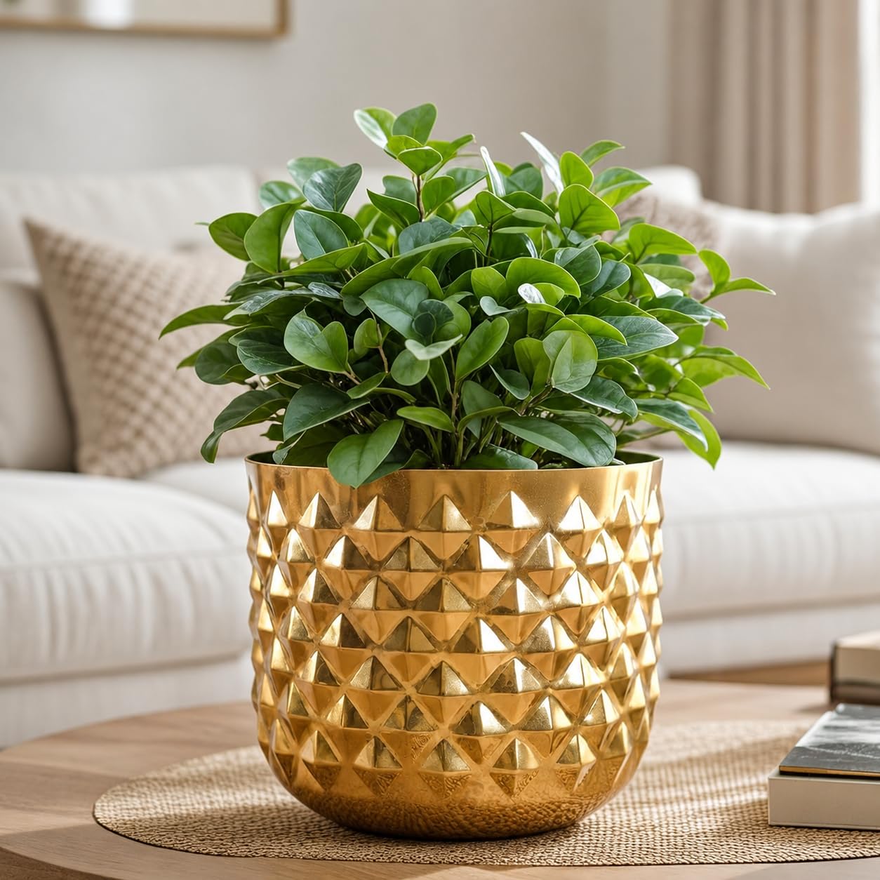 Golden Facet Brass Finish Iron Planter Pot for Home Decor