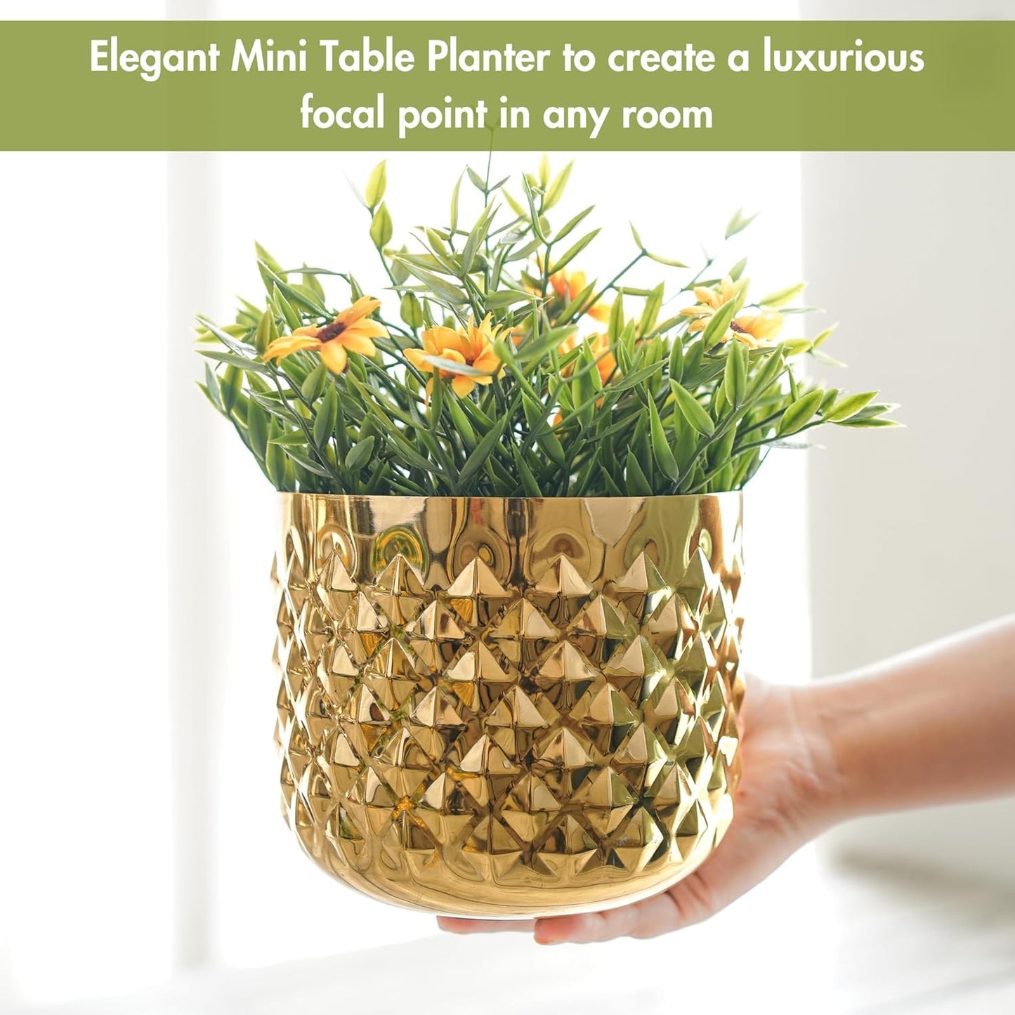 Golden Facet Brass Finish Iron Planter Pot for Home Decor